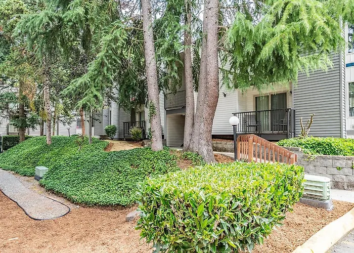 Beautiful And Cozy One Bedroom Apartment -Wifi, Bbq, Patio, Dog Park, Close To Greenlake And Northgate